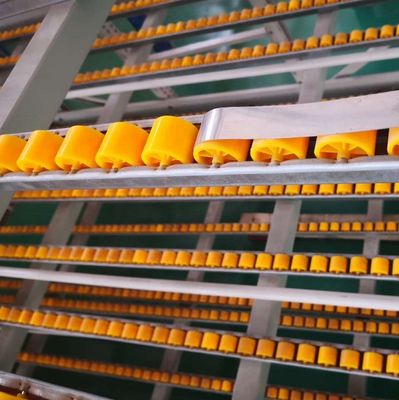 Industrial Warehouse Carton Flow Rack Powder Coating 100-1000 Kgs Per Bed Light